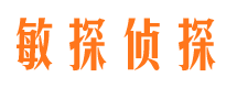 东洲市私家侦探公司